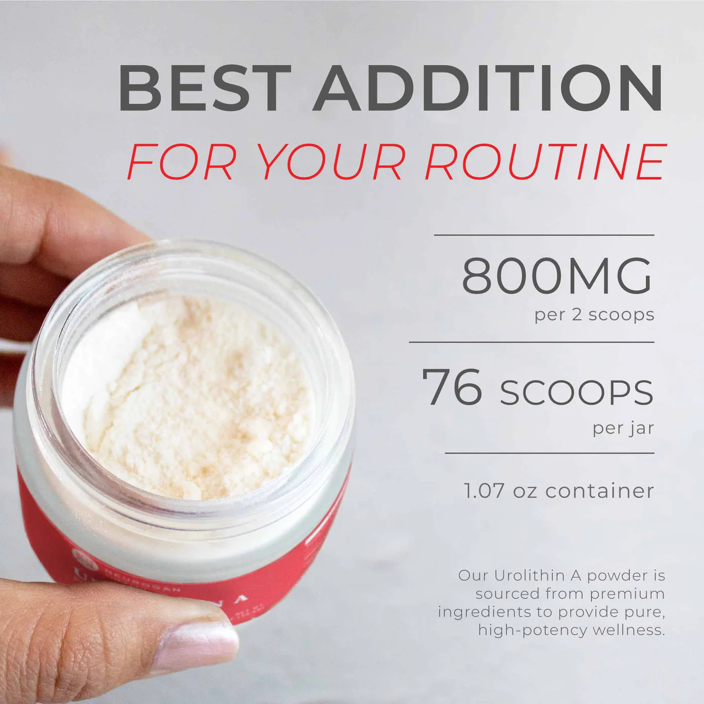 
                  
                    Urolithin A Powder (30g)
                  
                