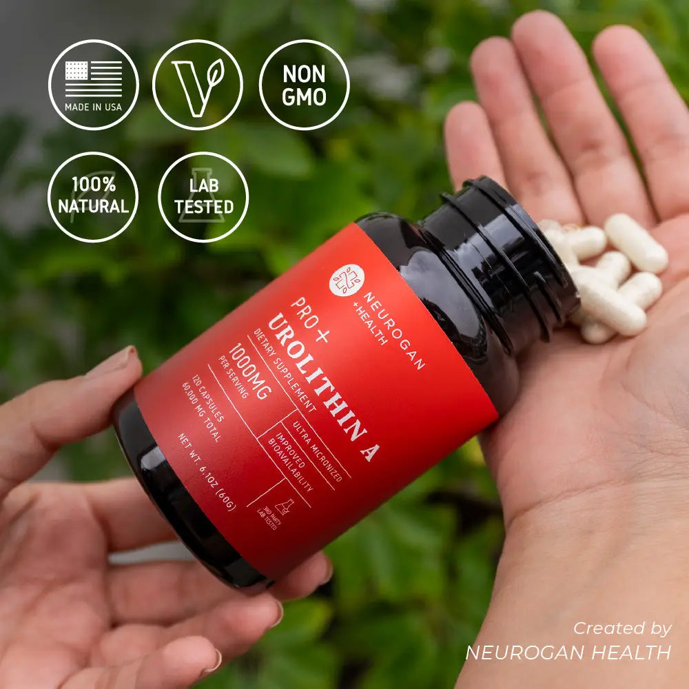 
                  
                    Urolithin A Pro -  1000 mg
                  
                