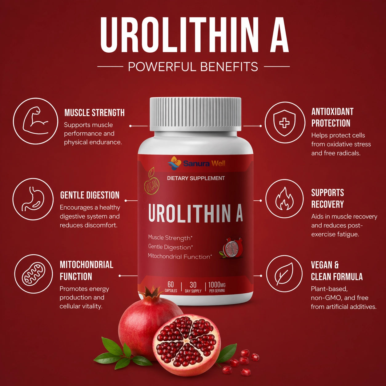 
                  
                    Urolithin A 1000 Mg, 60 Kaplser
                  
                