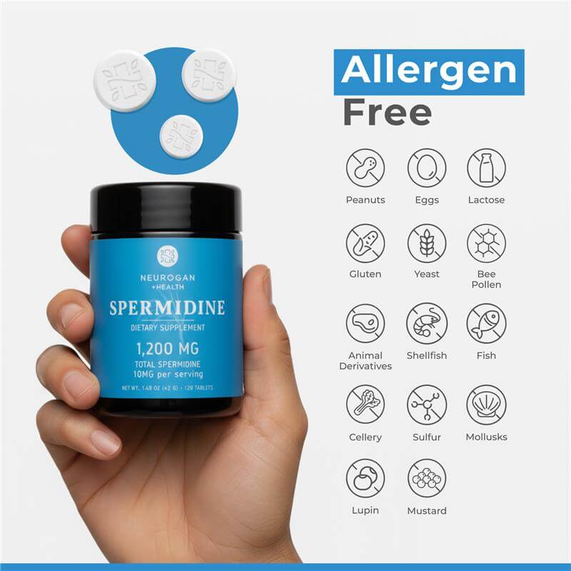 
                  
                    Neurogan - Spermidine - 120 tabs
                  
                