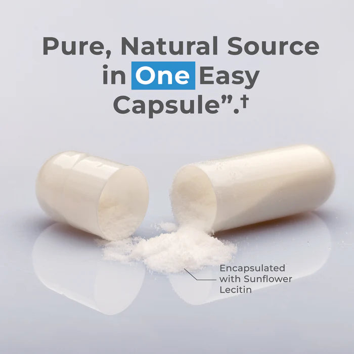 
                  
                    Liposomal Spermidine kapsler (120)
                  
                