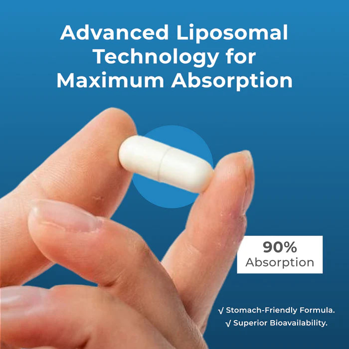 
                  
                    Liposomal Spermidine kapsler (120)
                  
                