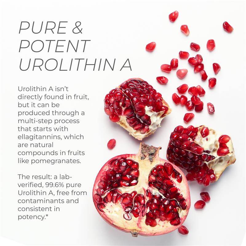 
                  
                    Urolithin A Powder (30g)
                  
                