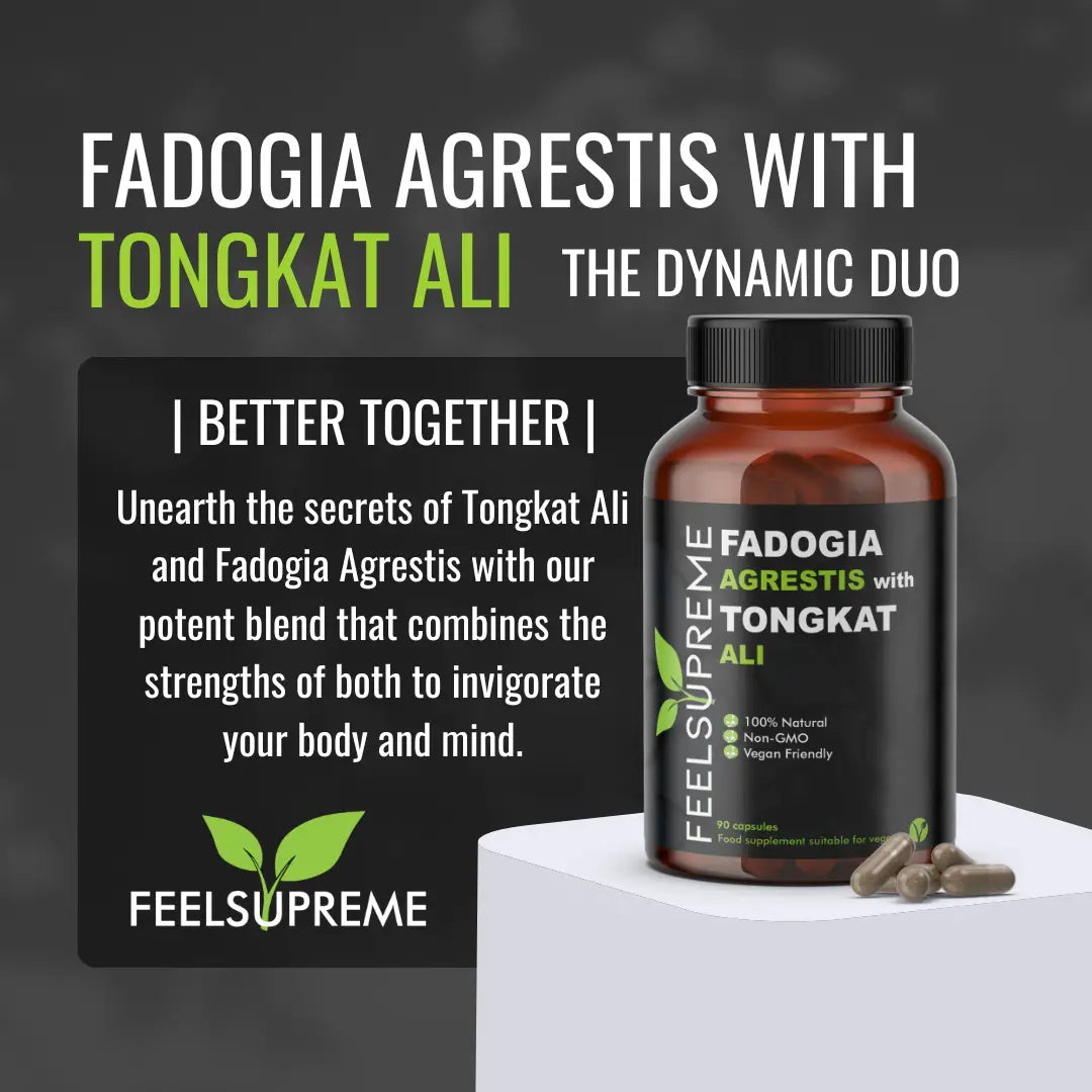 
                  
                    Tongkat Ali w/ Fadogia Agrestis | Herbal Testosterone Boost
                  
                