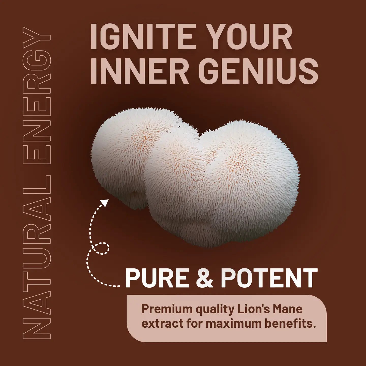 
                  
                    - Pakketilbud! 2 pack Lions Mane Mushroom - 4000mg med Vitamin B12
                  
                