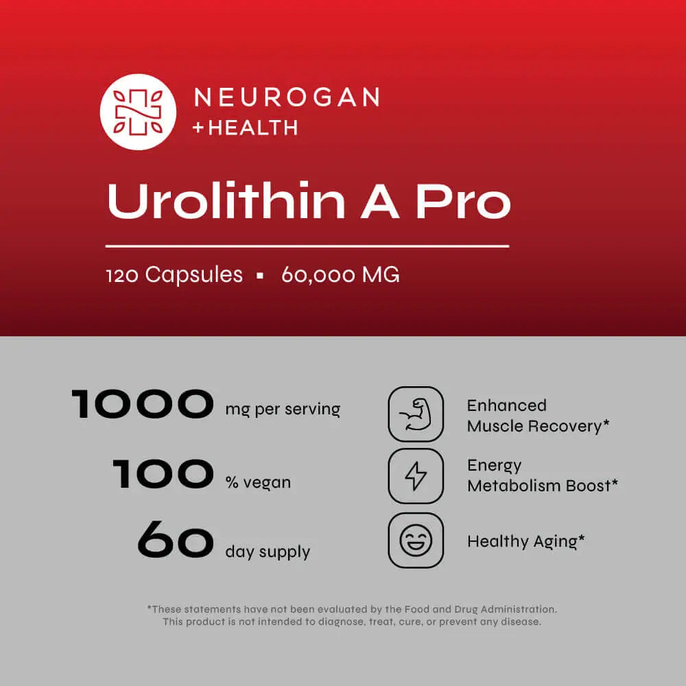 
                  
                    Urolithin A Pro -  1000 mg
                  
                