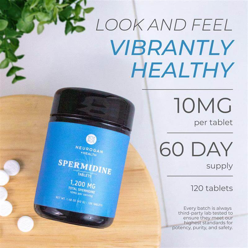 
                  
                    Neurogan - Spermidine - 120 tabs
                  
                