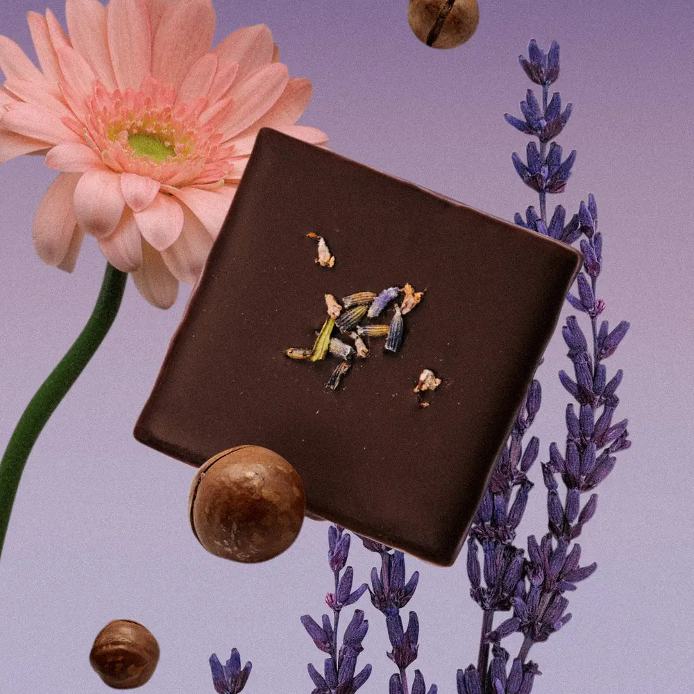 Cosmic Dealer Chakra Chocolate 20g  singel  (Vill Lavendel & Makadamia)