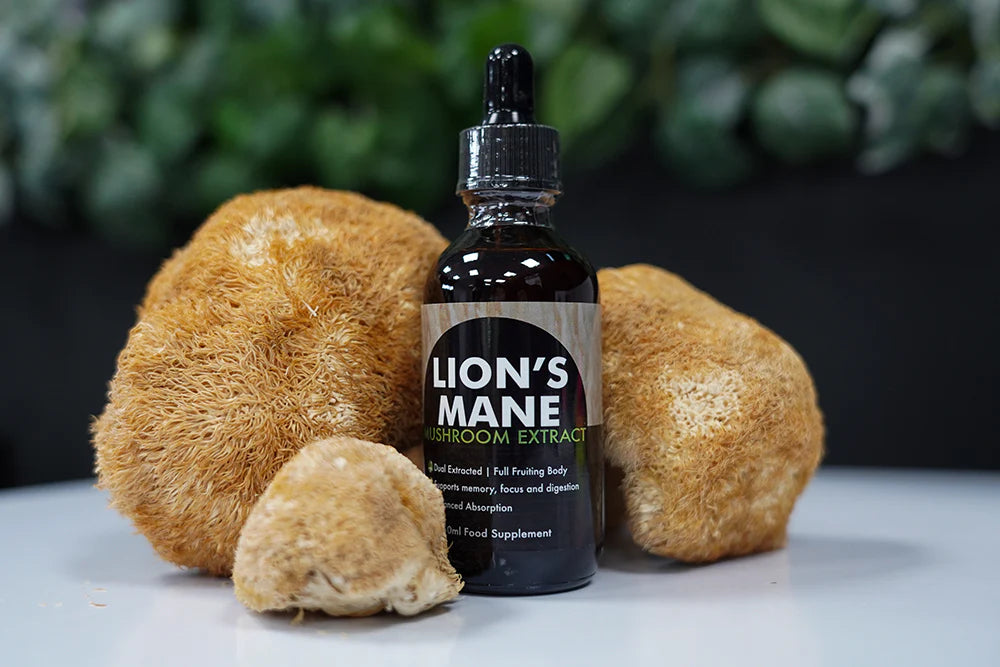 Økologisk Lions Mane Mushroom Tincture | Dual extracted | Dropper