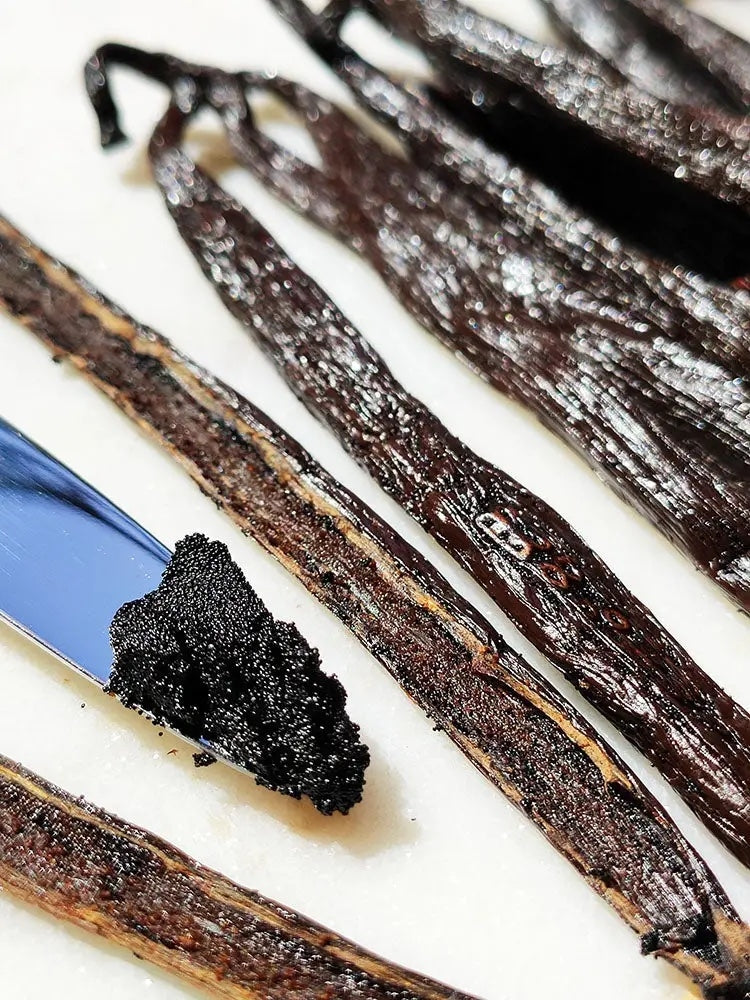 
                  
                    Økologisk Gourmet Bourbon vaniljestang Beans - Madagascar (2stk)
                  
                