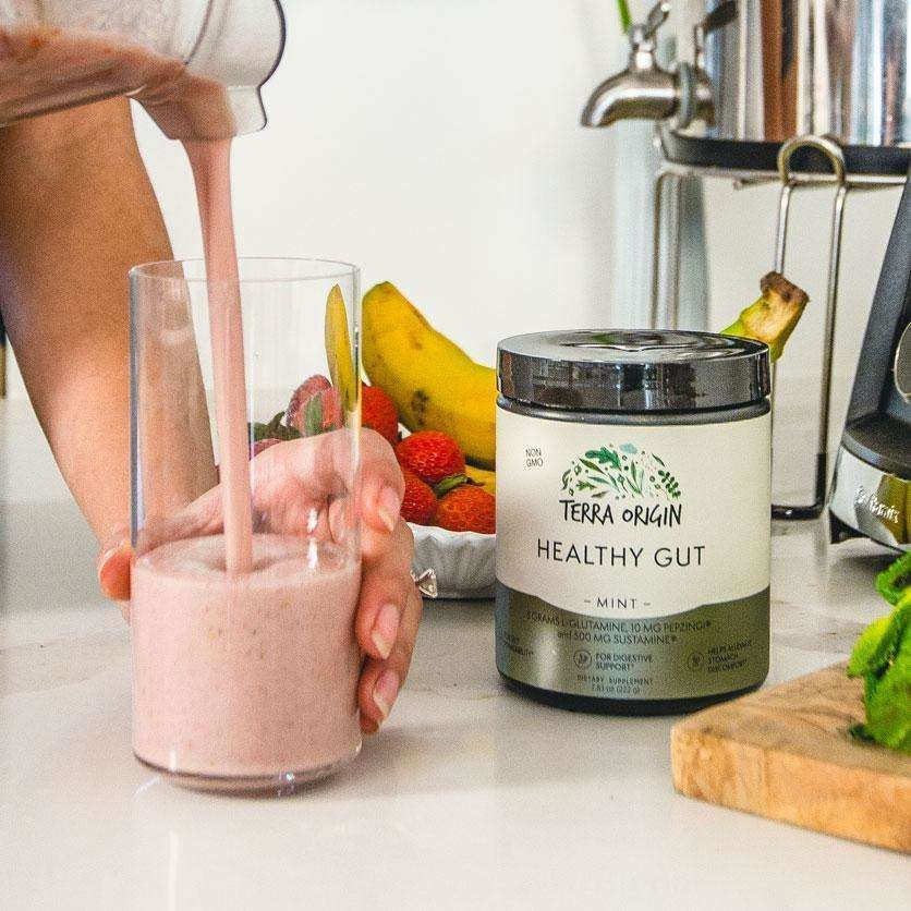 
                  
                    Terra Origin, Healthy Gut - Mint (222g)
                  
                
