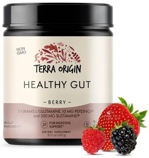 Terra Origin, Healthy Gut - Berry (234g)
